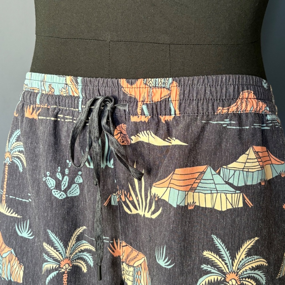 Roark Revival Desert Graphic Board Shorts | 34 | Charcoal Swim Trunks